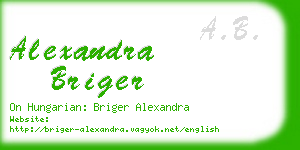 alexandra briger business card